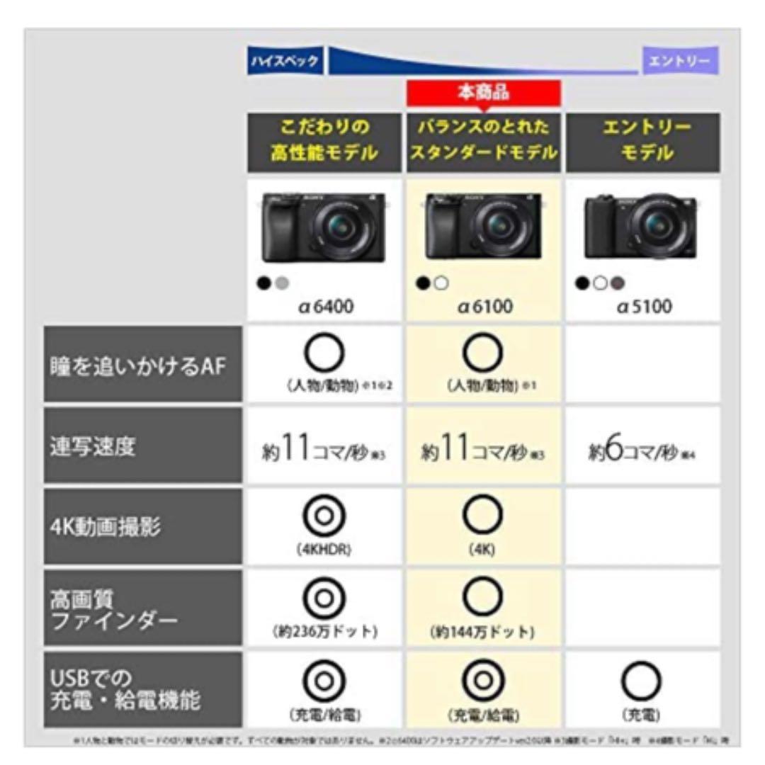 ソニー ミラーレス一眼 α6100 ダブルズームレンズキット ブラック