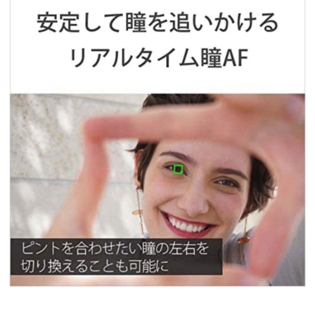 ソニー ミラーレス一眼 α6100 ダブルズームレンズキット ブラック