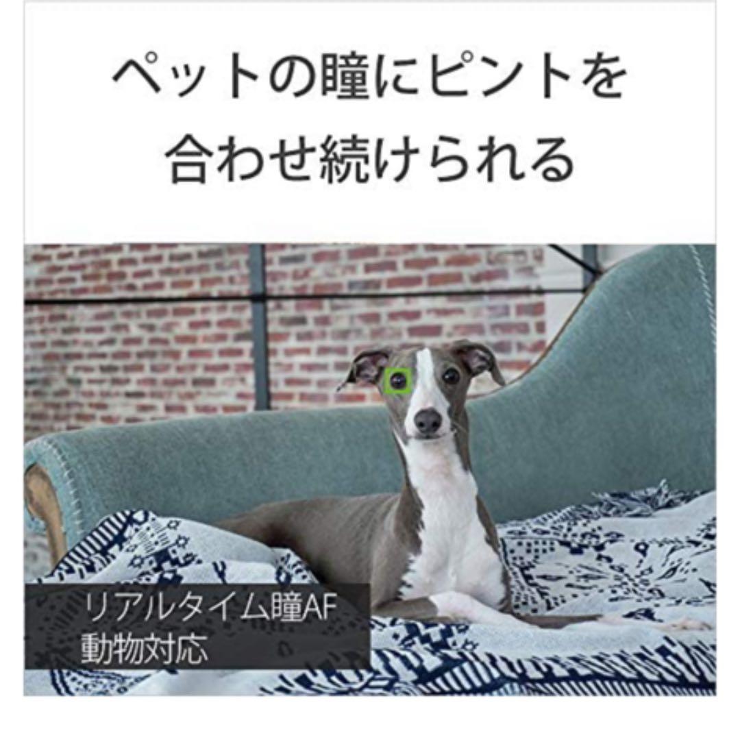 ソニー ミラーレス一眼 α6100 ダブルズームレンズキット ブラック