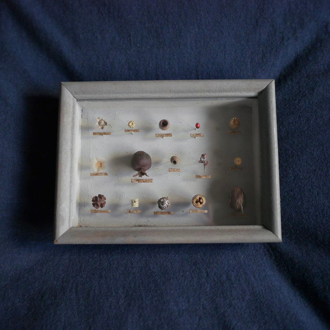 西別府久幸 「森のオトシモノ」