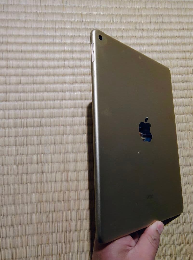 iPad Air 2 64GB｜動作正常｜ケース付属