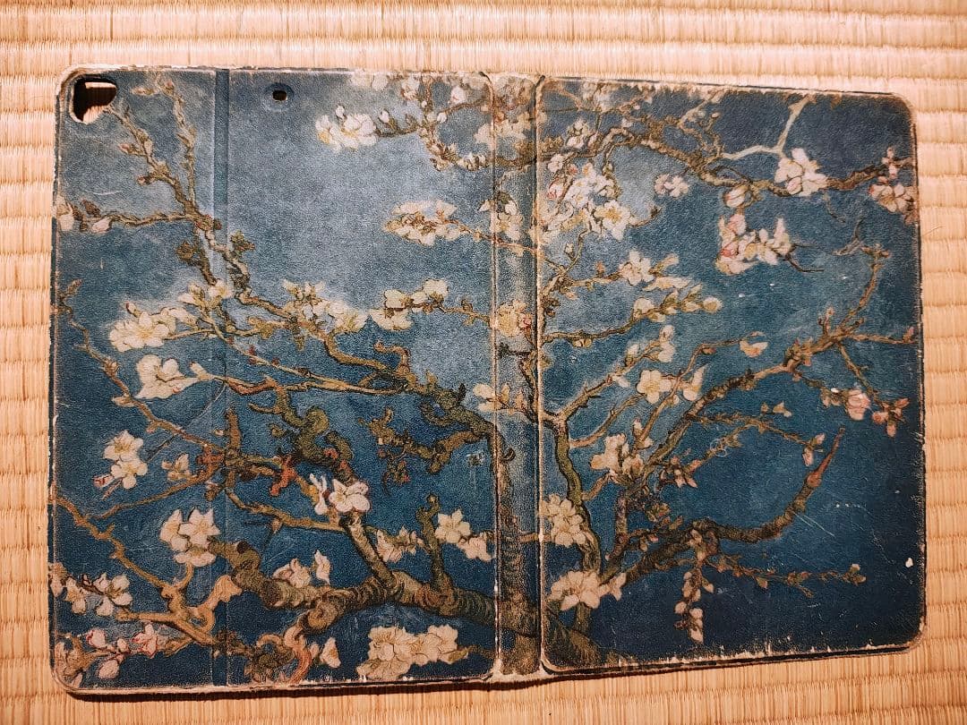 iPad Air 2 64GB｜動作正常｜ケース付属