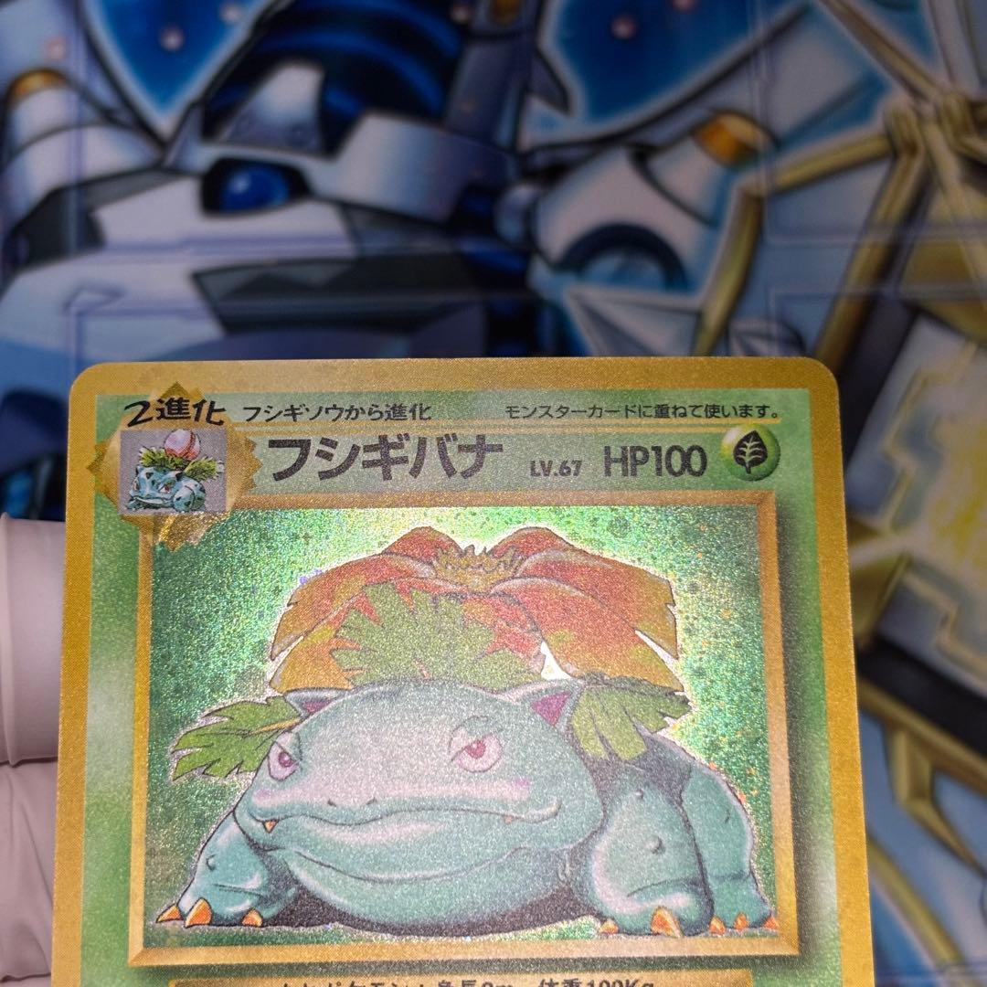 【極美品】旧裏 フシギバナ ★ 第1弾拡張パック