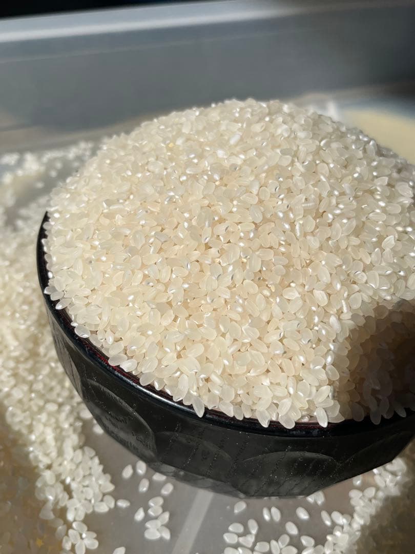 【令和7年産】栃木県日光市産 コシヒカリ 10kg（白米）産地直送 注文後精米！