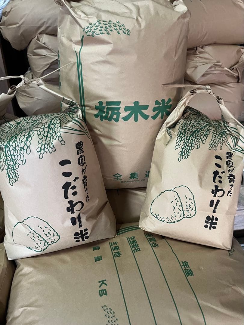 【令和7年産】栃木県日光市産 コシヒカリ 10kg（白米）産地直送 注文後精米！