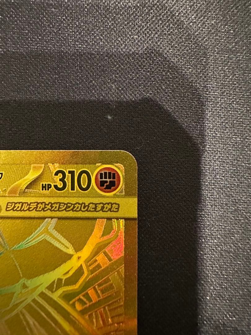 ムニキスゼロ メガジガルデ ex MUR 1枚