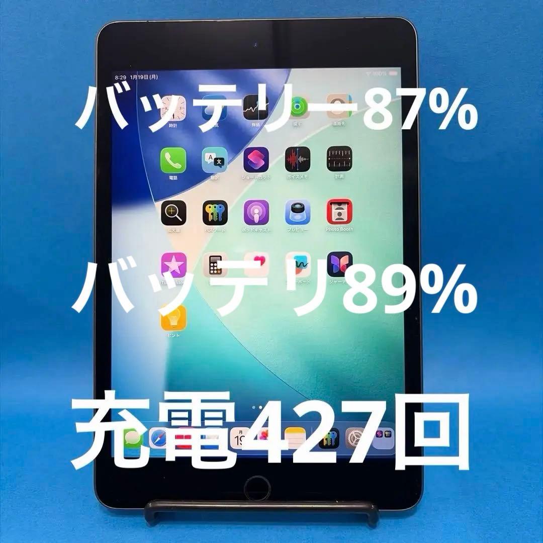 iPad Mini 第5世代 Wi-Fi Cellular 64GB スター