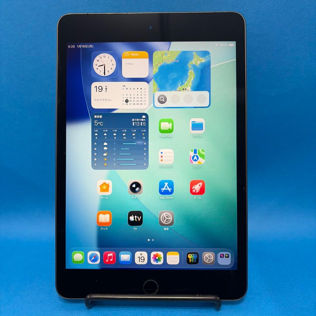 iPad Mini 第5世代 Wi-Fi Cellular 64GB スター