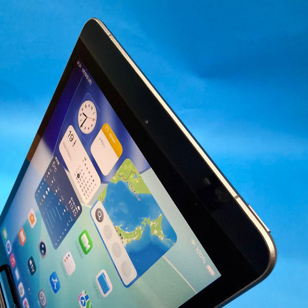 iPad Mini 第5世代 Wi-Fi Cellular 64GB スター