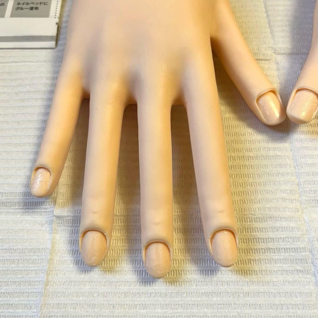 【JNEC認定モデルハンド】骨折なし　箱付き