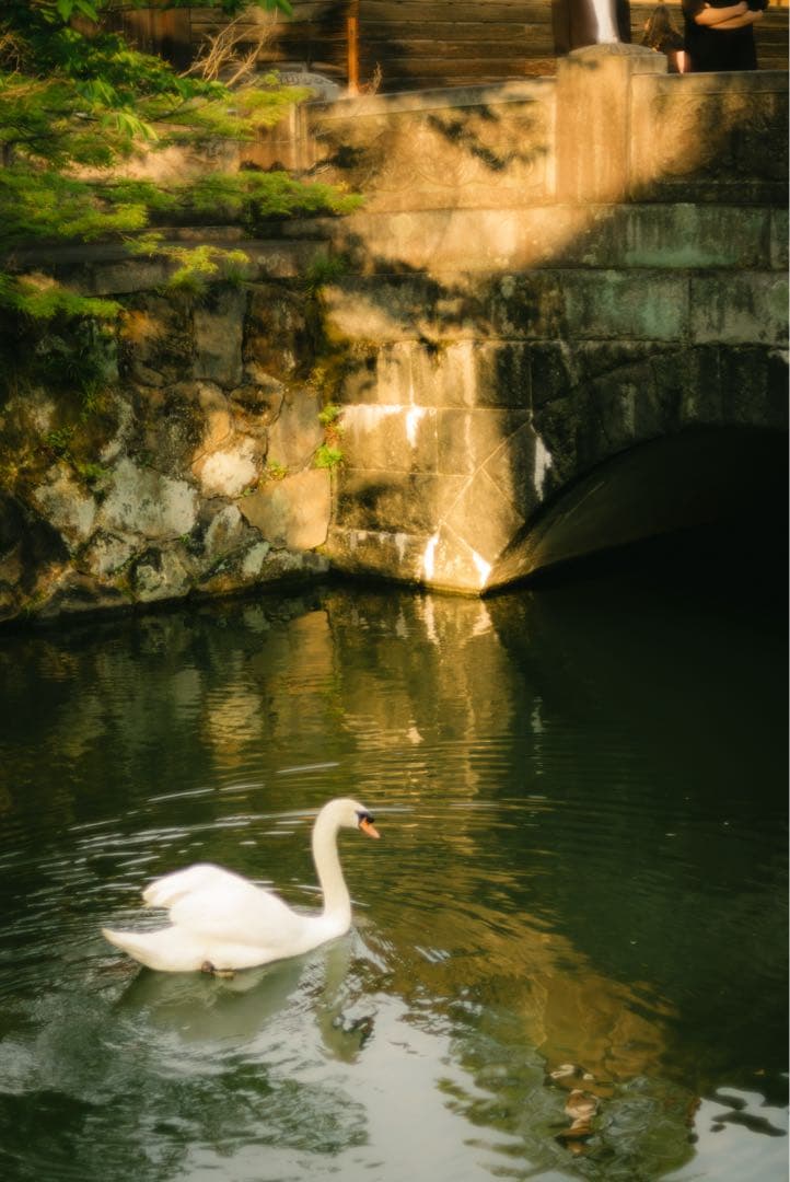 レンズ(単焦点) LIGHT LENS LAB M 50mm f/2 Rigid-SPII