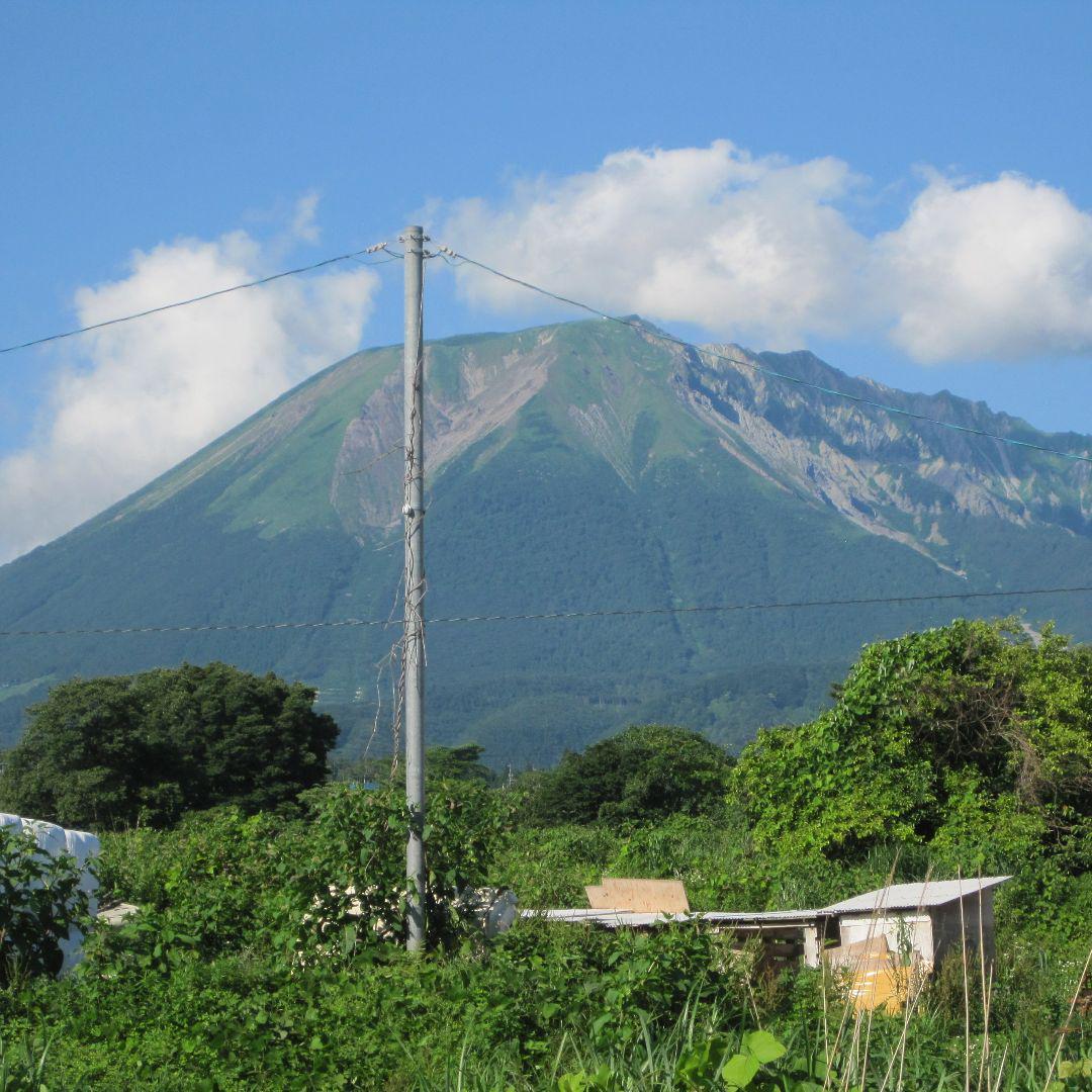 ☪️アカシア蜜１０本　生はちみつ　自家製蜂蜜