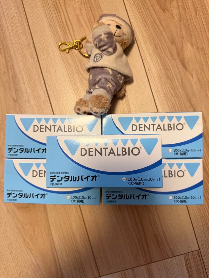 共立製薬 デンタルバイオ 10粒×10シート ×5箱