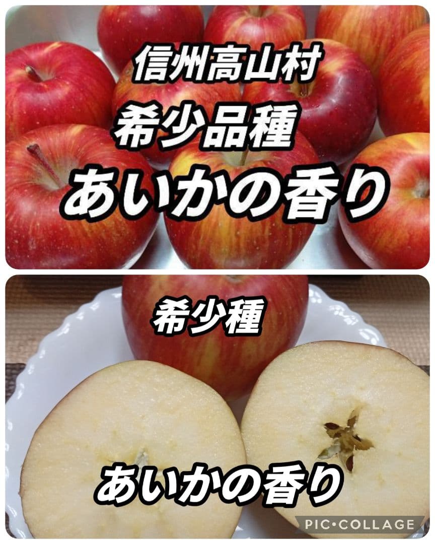 けんぼん　りんご詰め合わせ9キロ