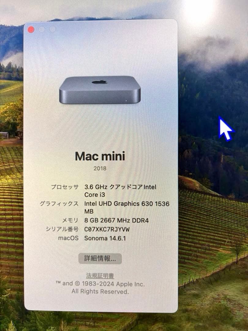 eriiiii 様　Apple Mac mini