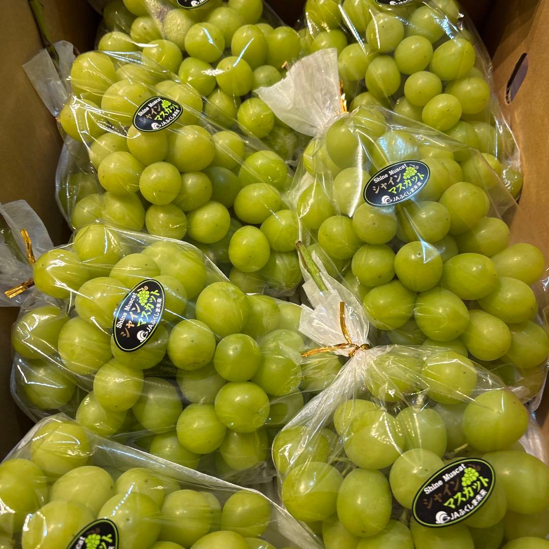 シャインマスカット 特秀品7房 5キロ JAふくしま未来