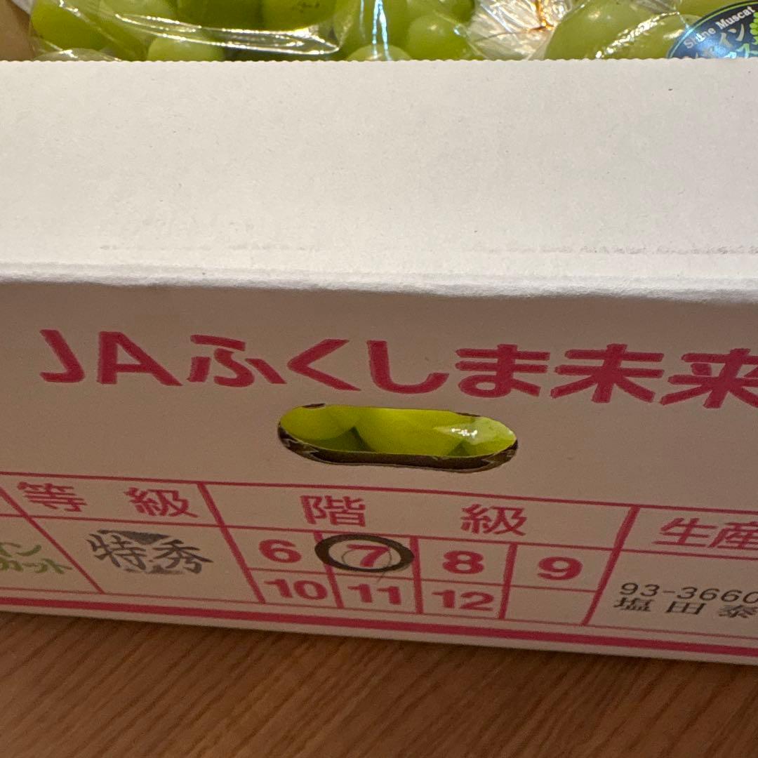 シャインマスカット 特秀品7房 5キロ JAふくしま未来