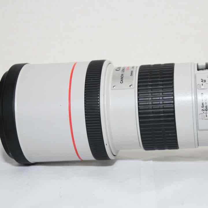 憧れのCanon 単焦点望遠レンズ EF300mm F4L