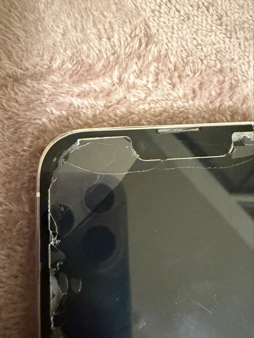 か*な様 iPhone13Pro 本体