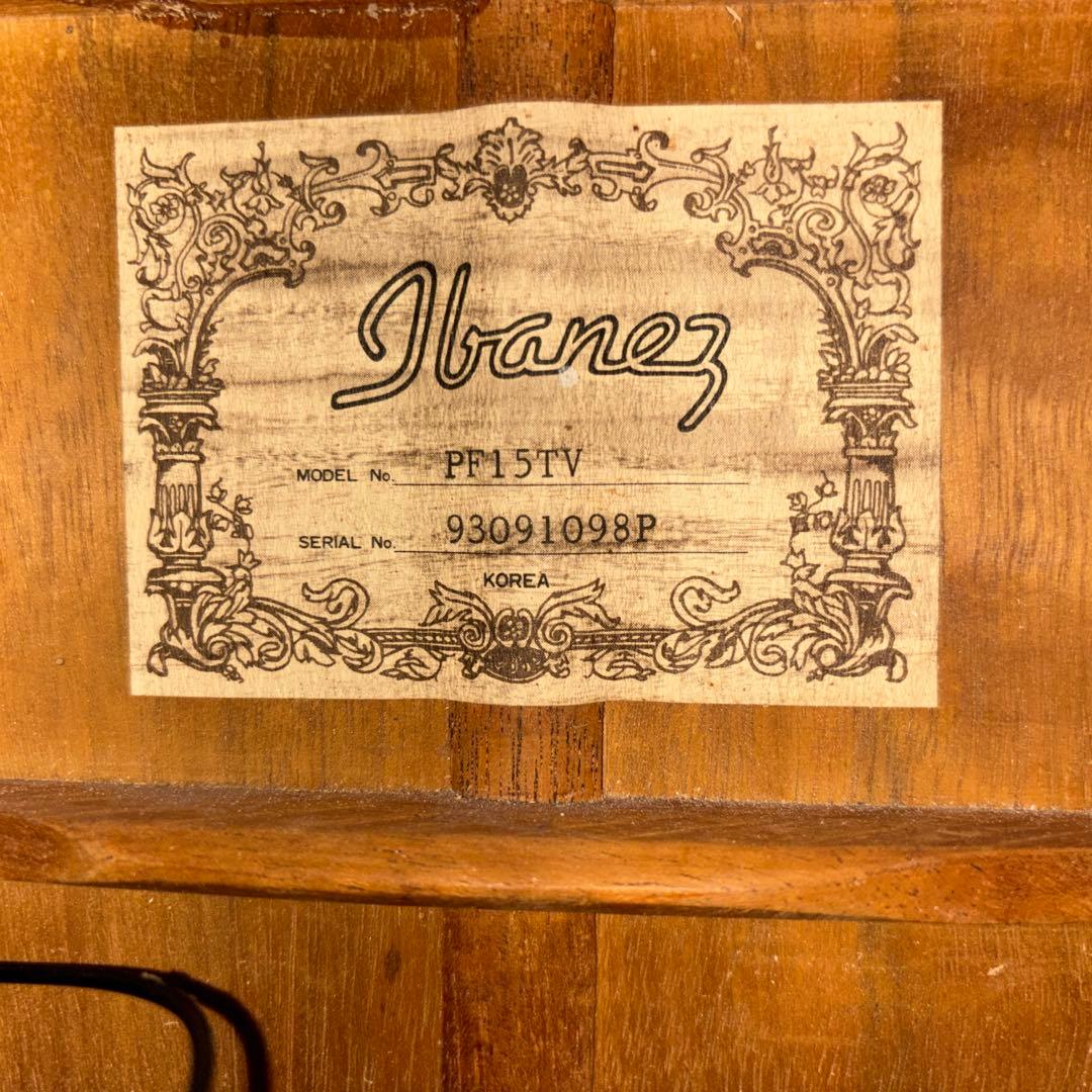 Ibanez エレアコ ソフトケース付 新品弦張替済