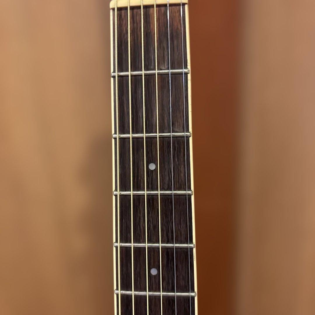 Ibanez エレアコ ソフトケース付 新品弦張替済