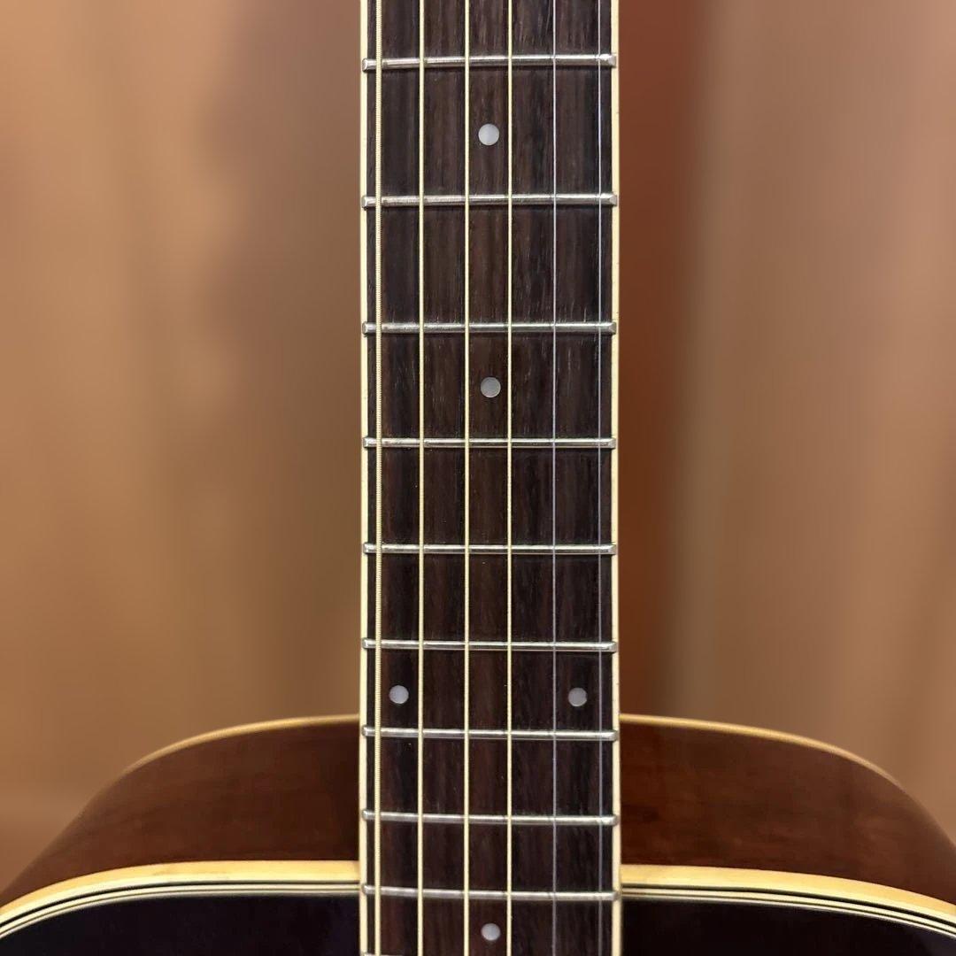 Ibanez エレアコ ソフトケース付 新品弦張替済