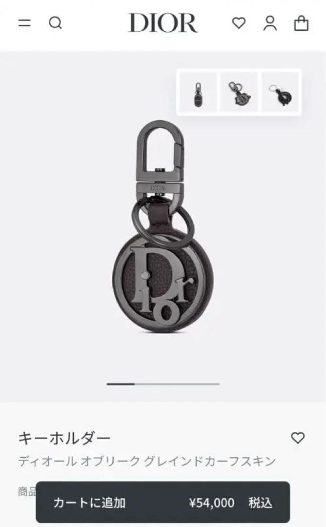 Dior オブリーク　グレインドカーフスキン