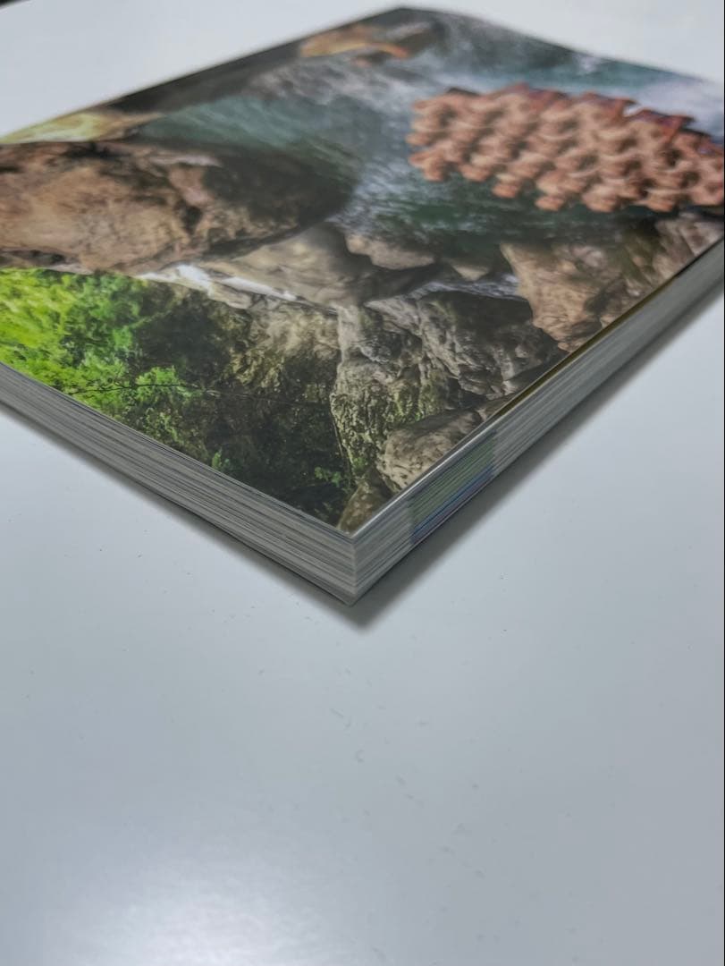 STONE VALLEY 　仁淀川　ボルダー　トポ