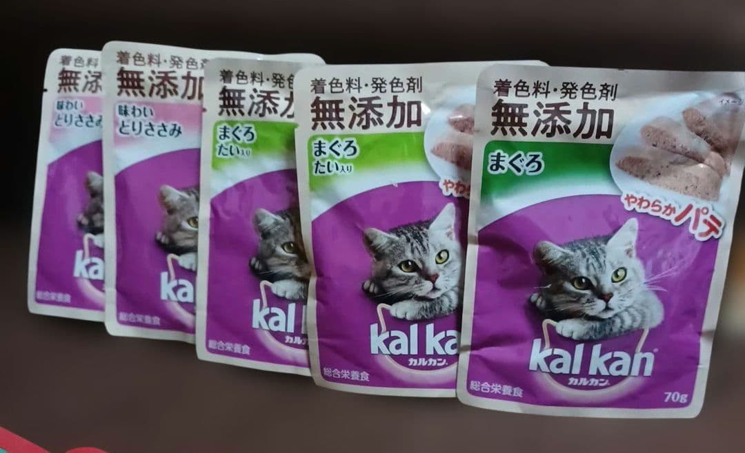 キャットフードセット