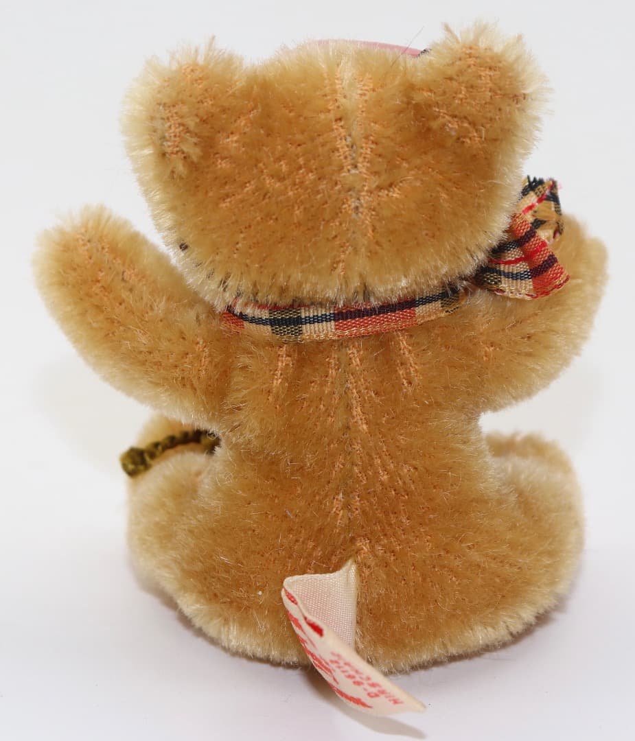 Teddy Bear with Tricycle Tucker＆Walther