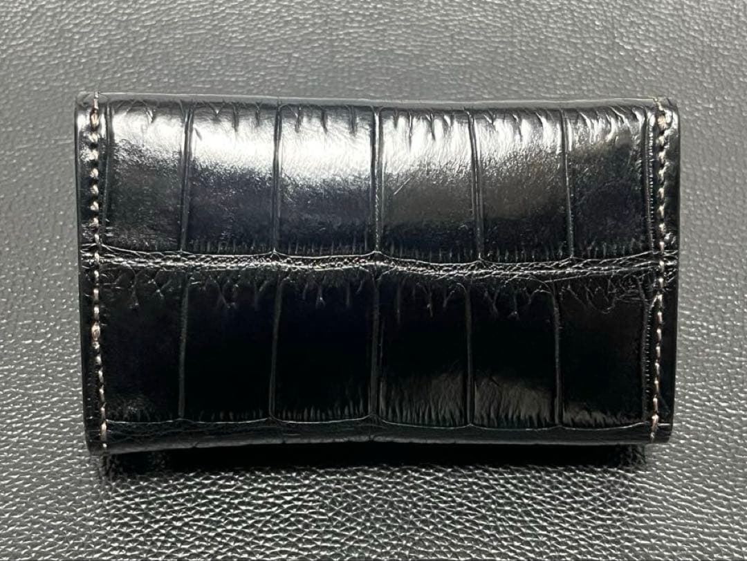 【ichikawa.1108a】ワイルドスワンズ　ダカール クロコダイル