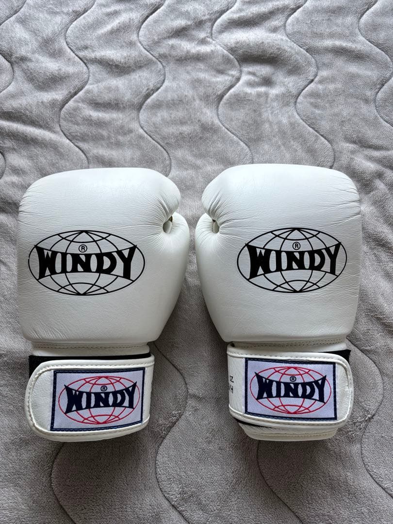 WINDY ボクシング　キックボクシング　グローブ　10オンス