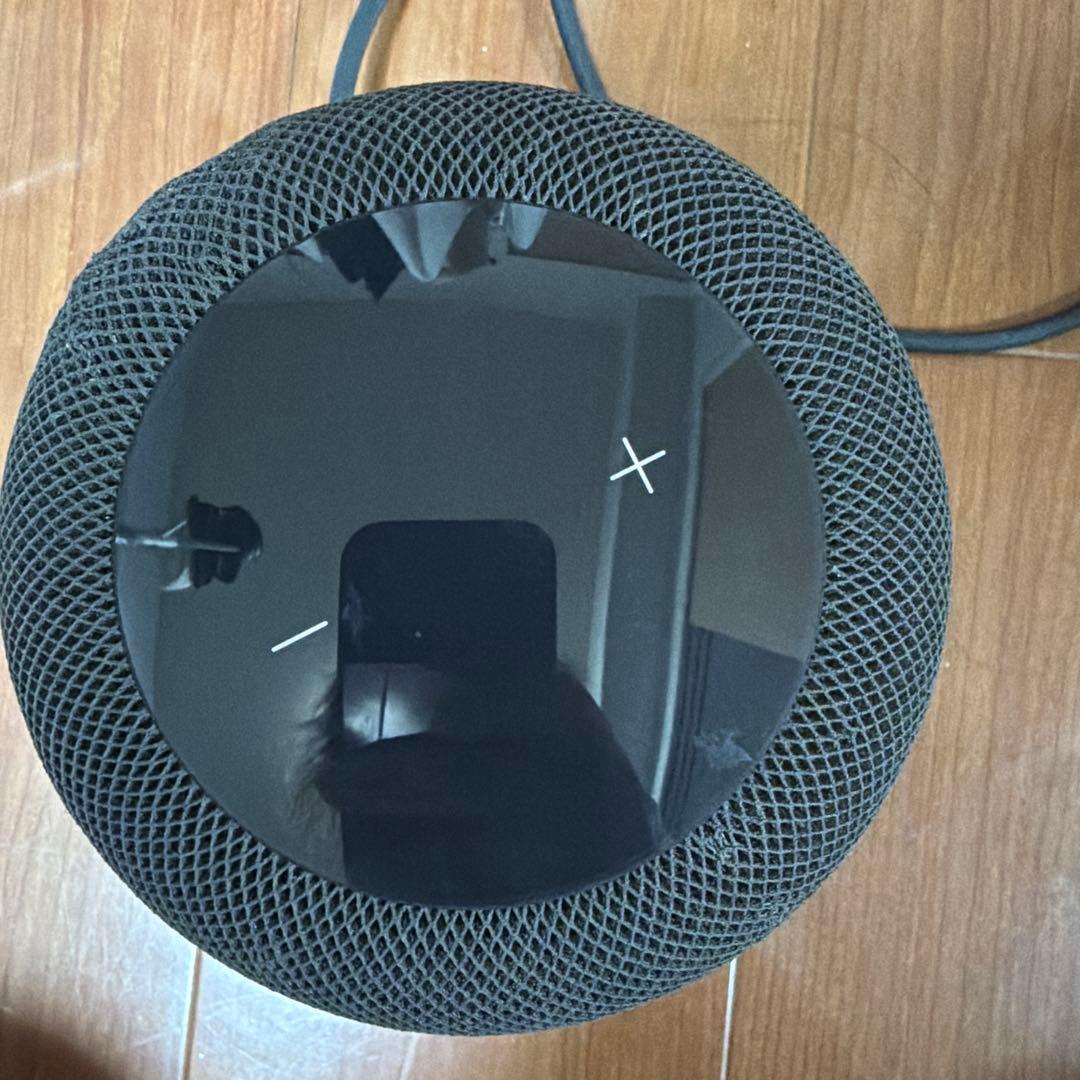 Apple Pod スペースグレー　第一世代