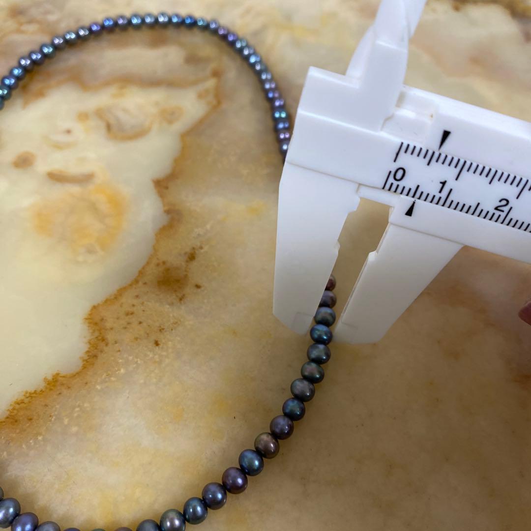 くまちゃん‼️おまとめです‼️