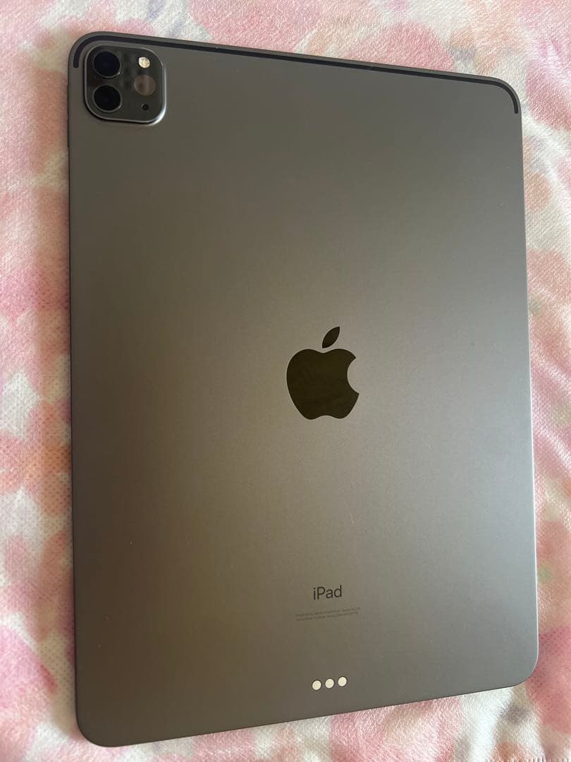 Apple iPad Pro第二世代128GB バッテリー残量100%