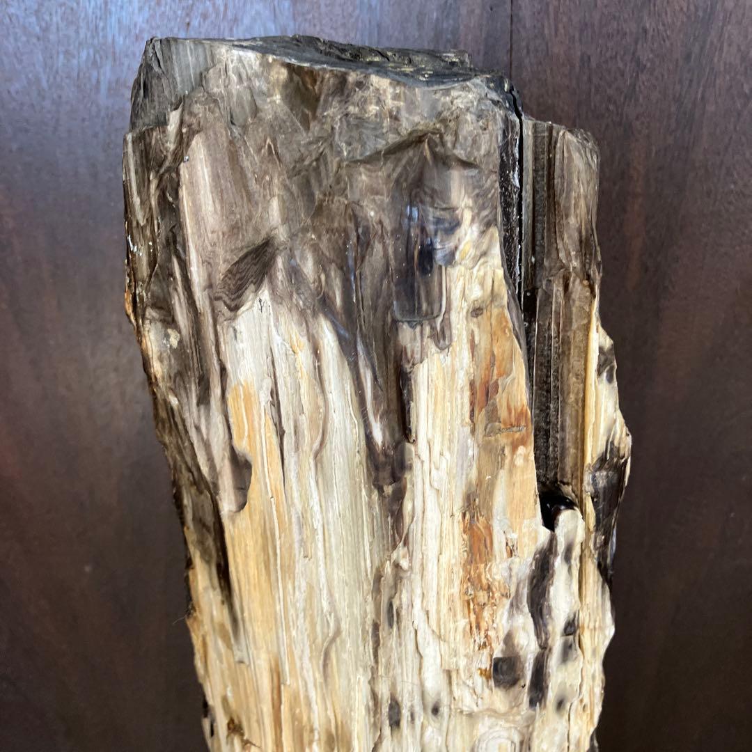 E-4 昭和レトロ 珪化木 化石 木の化石 鑑賞石 置物 飾り インテリア