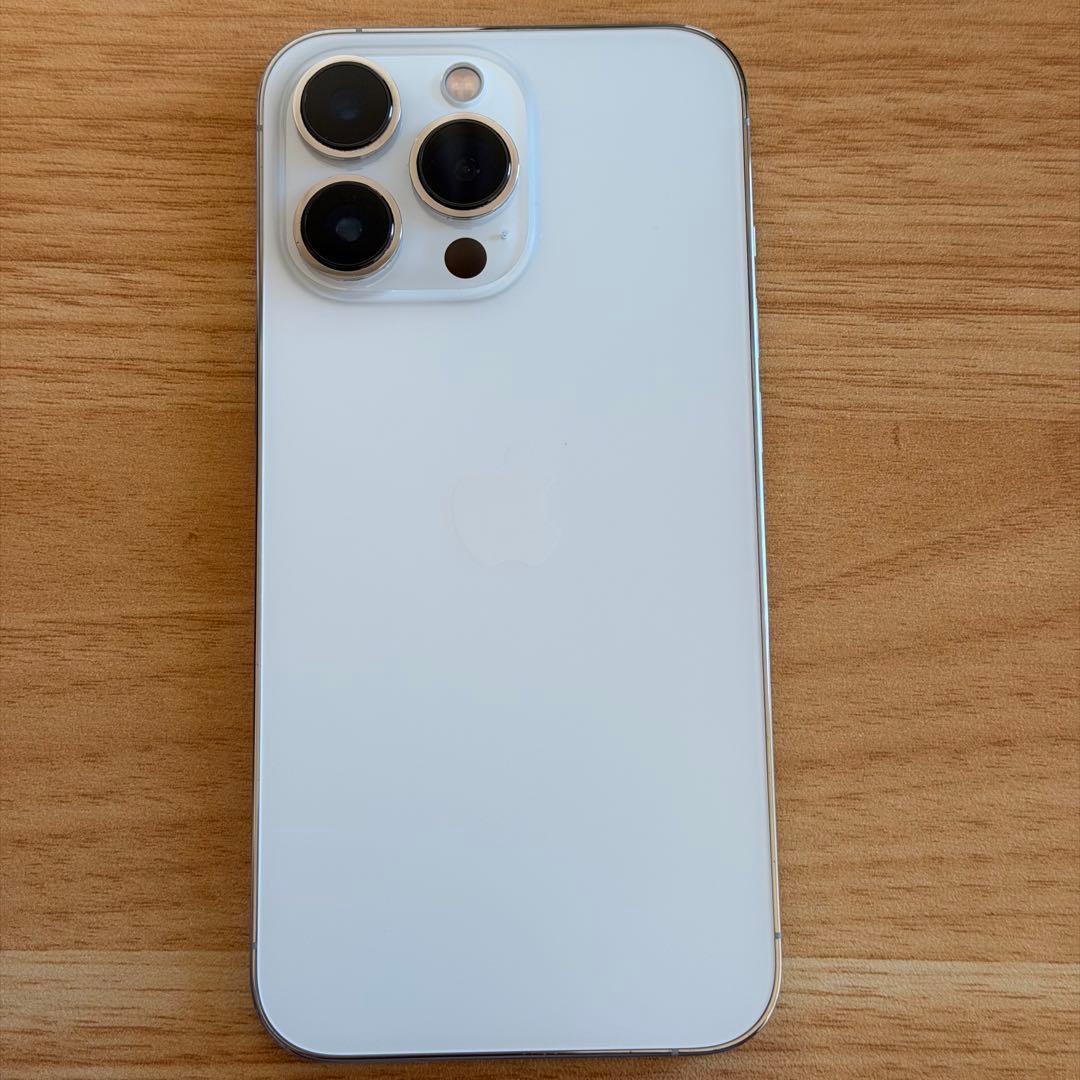 Apple iPhone 13Pro 256GB ケース付