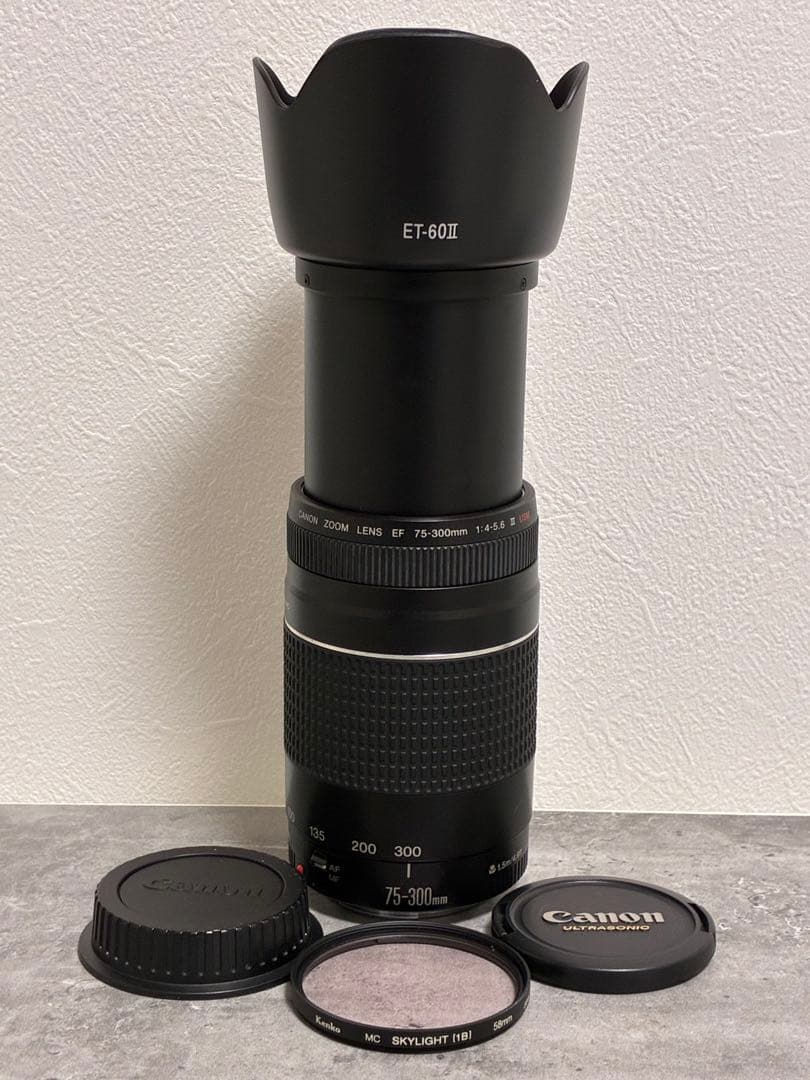 ⭐️美品⭐️ Canon EF 75-300mm F4-5.6 III USM
