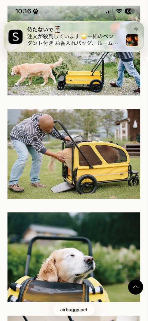 エアバギー・青いペットカート