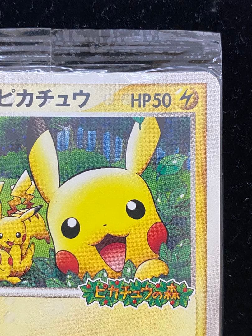 ポケパークのピカチュウ　043/PCG-P ポケカ
