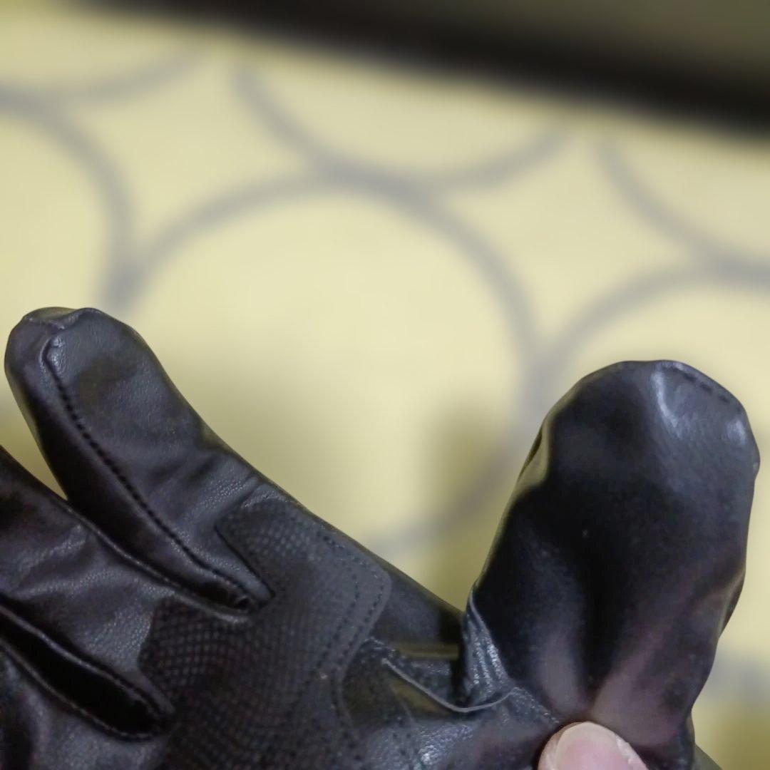 2024モデル HOMPRES 電熱グローブ LサイズCタイプ