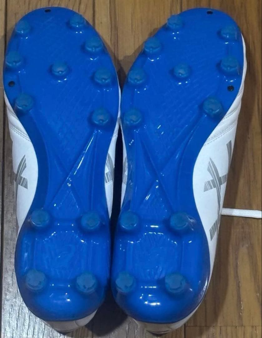 DS ライト　X-fly5 ブルー　25.0cm