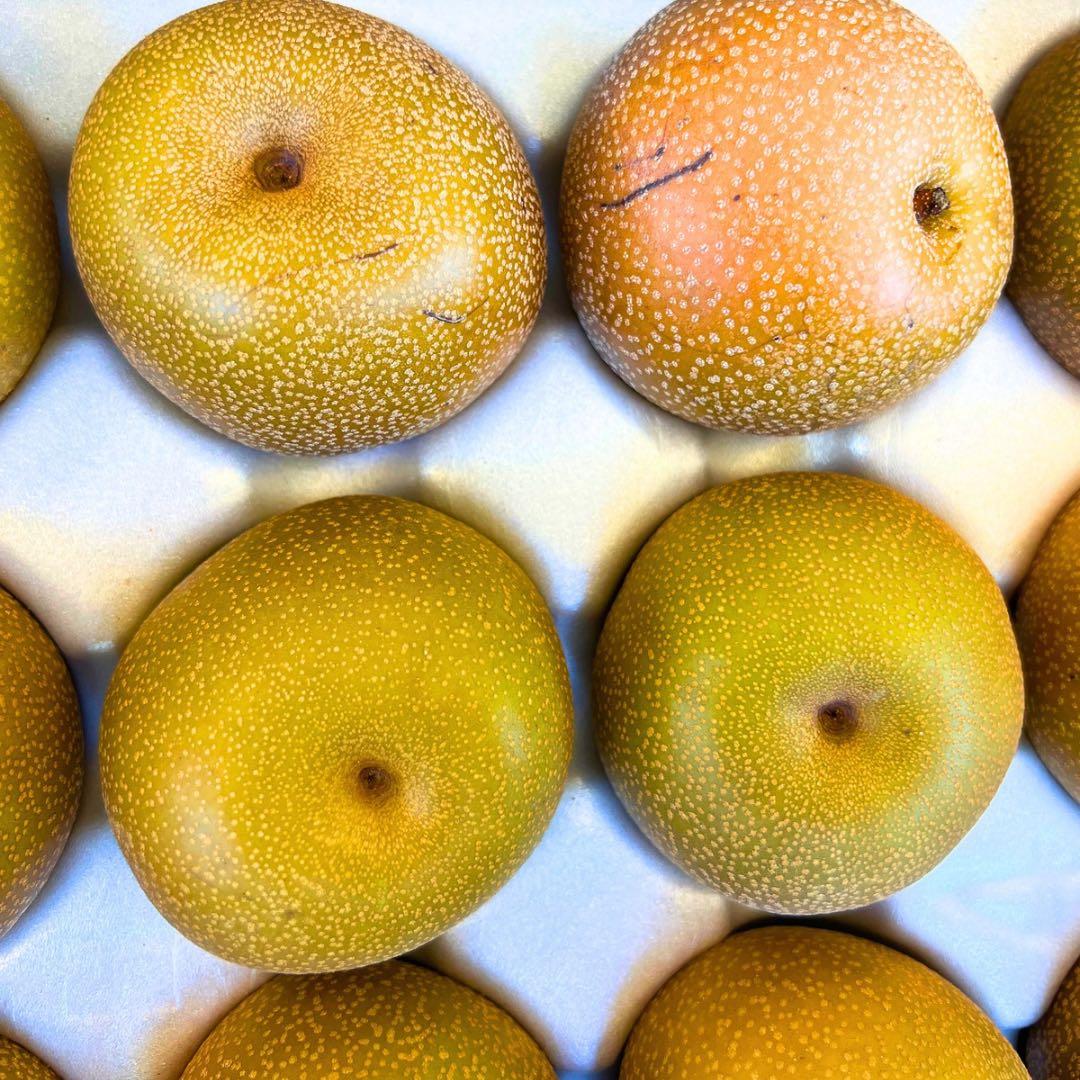 梨　豊水梨　家庭用　　102