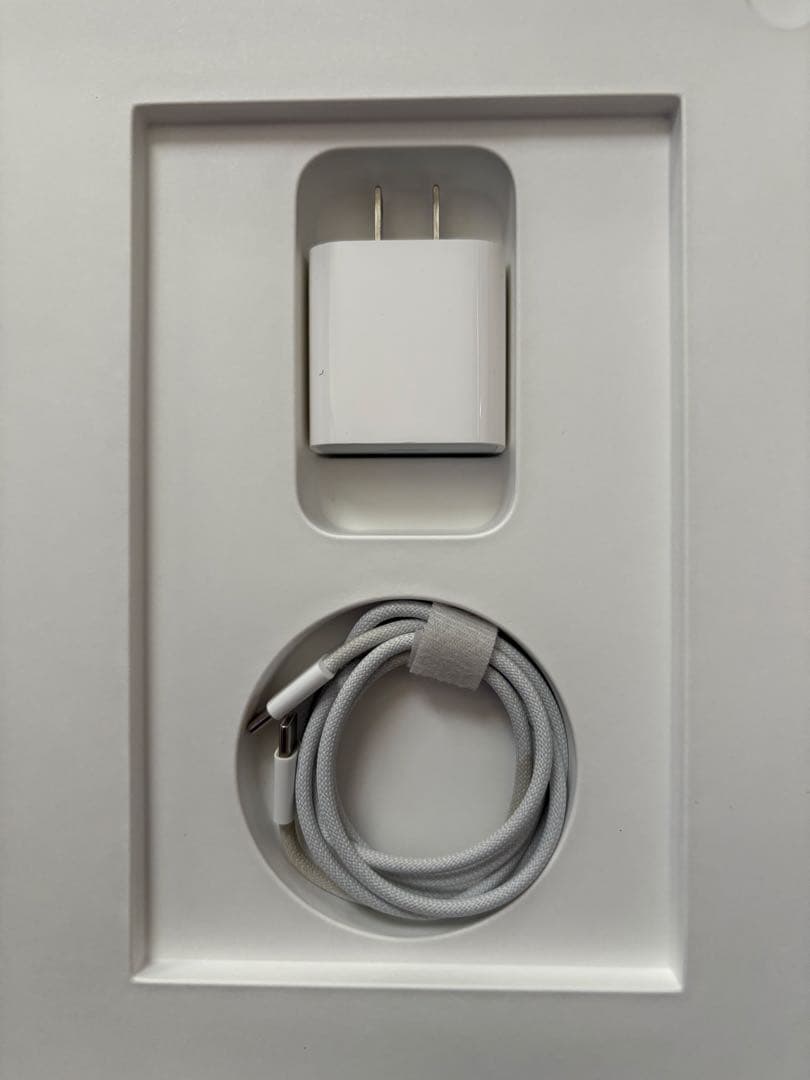 iPad 10世代 256GB Wi-Fiモデル シルバー