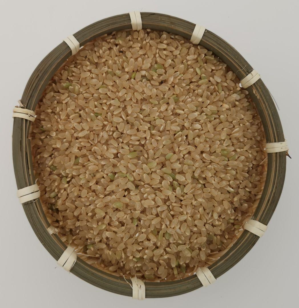 自然栽培米【令和7年 新米】ひとめぼれ 宮城県産 10kg 玄米 2025年