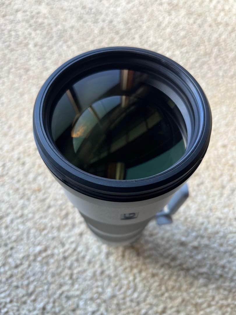 美品 SONY FE 200-600mm F5.6-6.3 G OSS ほぼ新品