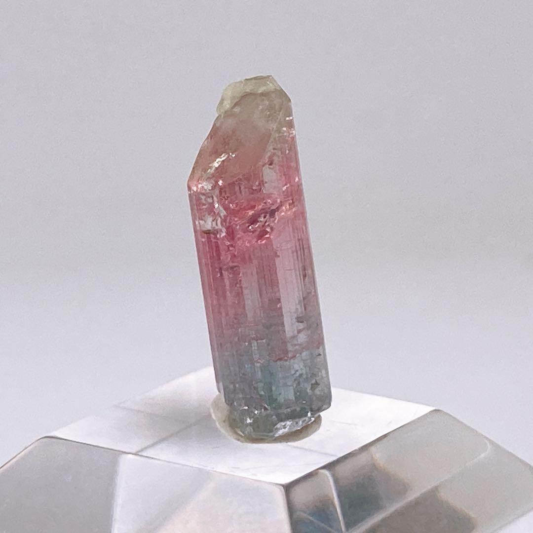 トルマリン　トリカラー　原石　鉱物標本　460