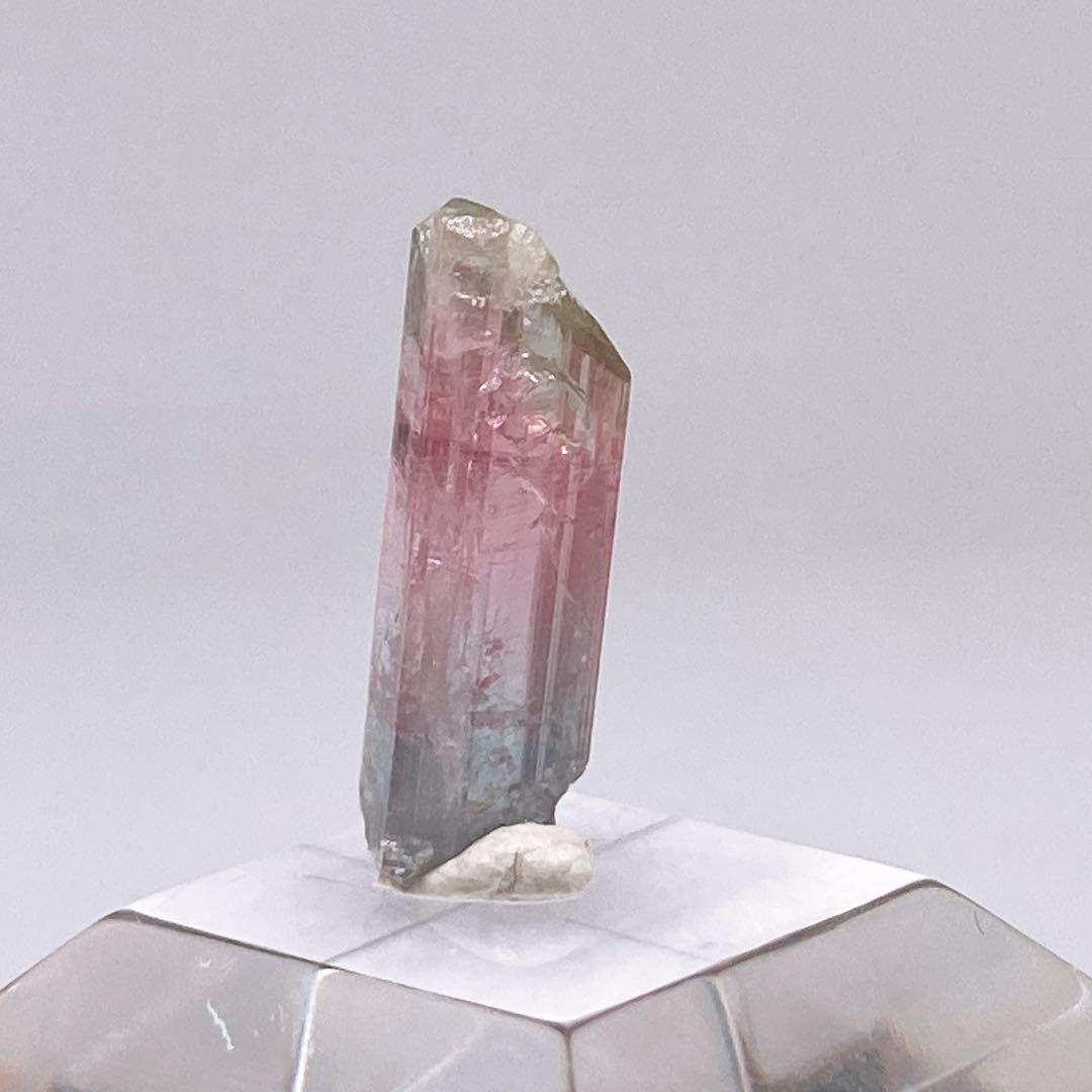 トルマリン　トリカラー　原石　鉱物標本　460