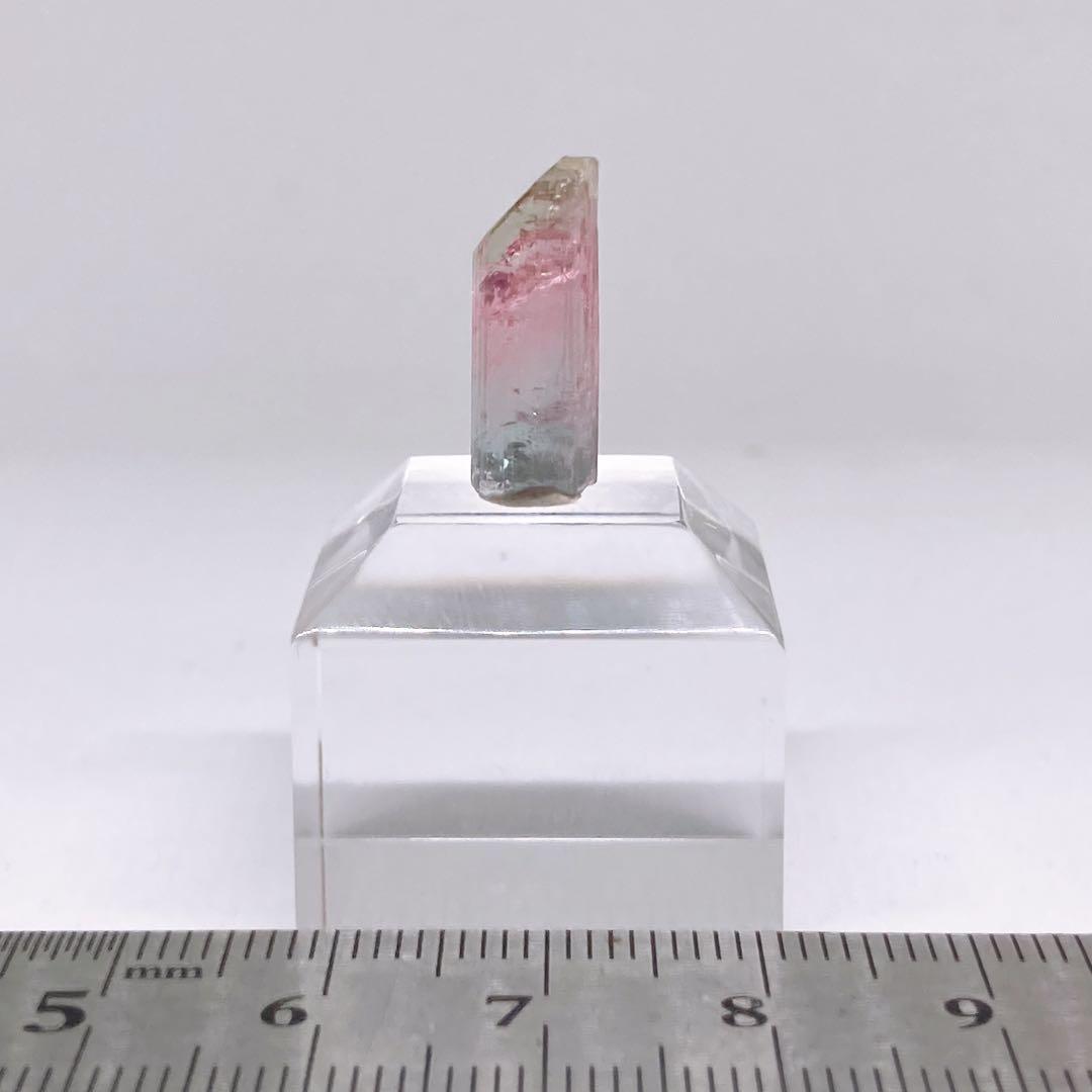 トルマリン　トリカラー　原石　鉱物標本　460