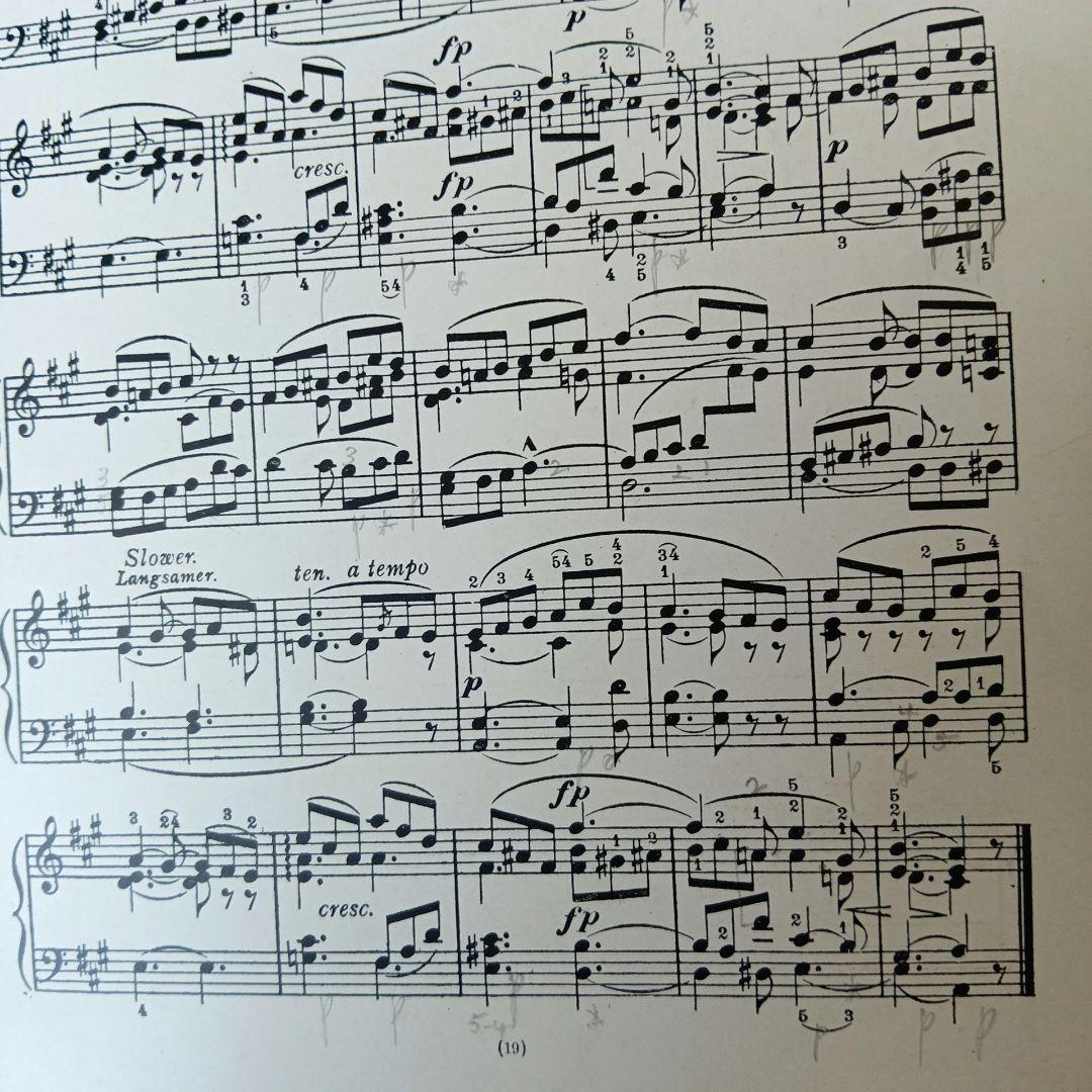 洋書古書1922年メッセージ　楽譜シューマン　ルメール画集アンティーク 水彩画